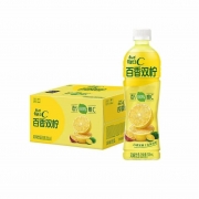 500ml康师傅百香双柠
